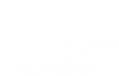 Academie Nouvelle Vie